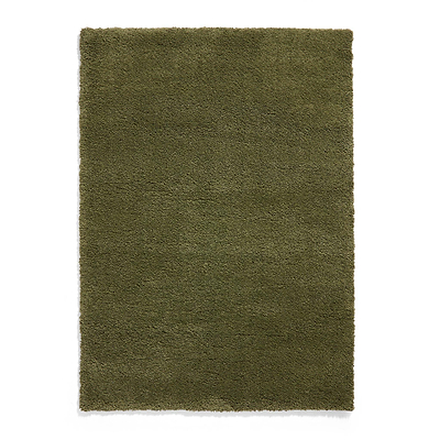 Roswell Stain Resistant Shaggy Rug