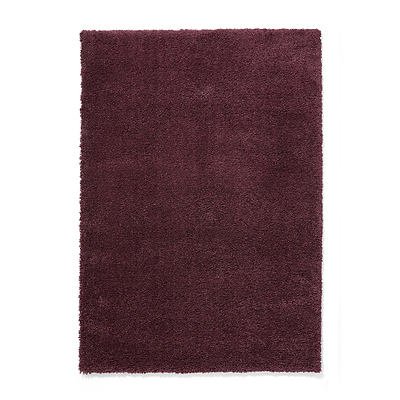 Roswell Stain Resistant Shaggy Rug