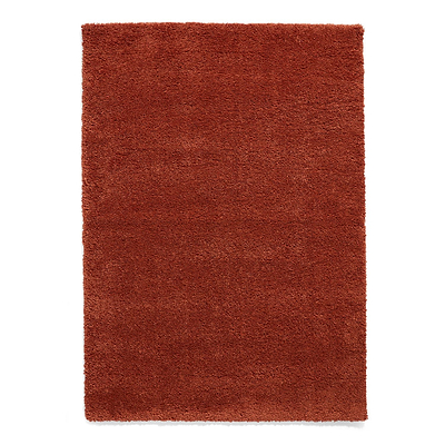 Roswell Stain Resistant Shaggy Rug