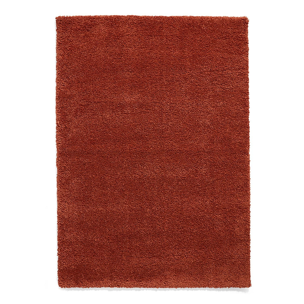 Roswell Stain Resistant Shaggy Rug