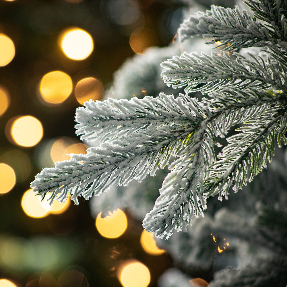Frosted Andorra Fir 7ft Tree