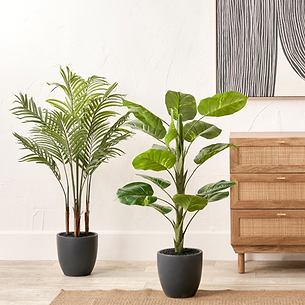 Artificial Plants & Flowers