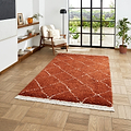 Rust Willow Shaggy Tasselled Diamond Rug from Roseland Furniture