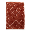 Rust Willow Shaggy Tasselled Diamond Rug from Roseland Furniture