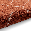 Rust Willow Shaggy Tasselled Diamond Rug from Roseland Furniture