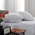 Waterproof Cotton Pillow Protector Pair from Roseland Furniture
