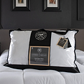 Duck Down Pillow from Roseland Furniture