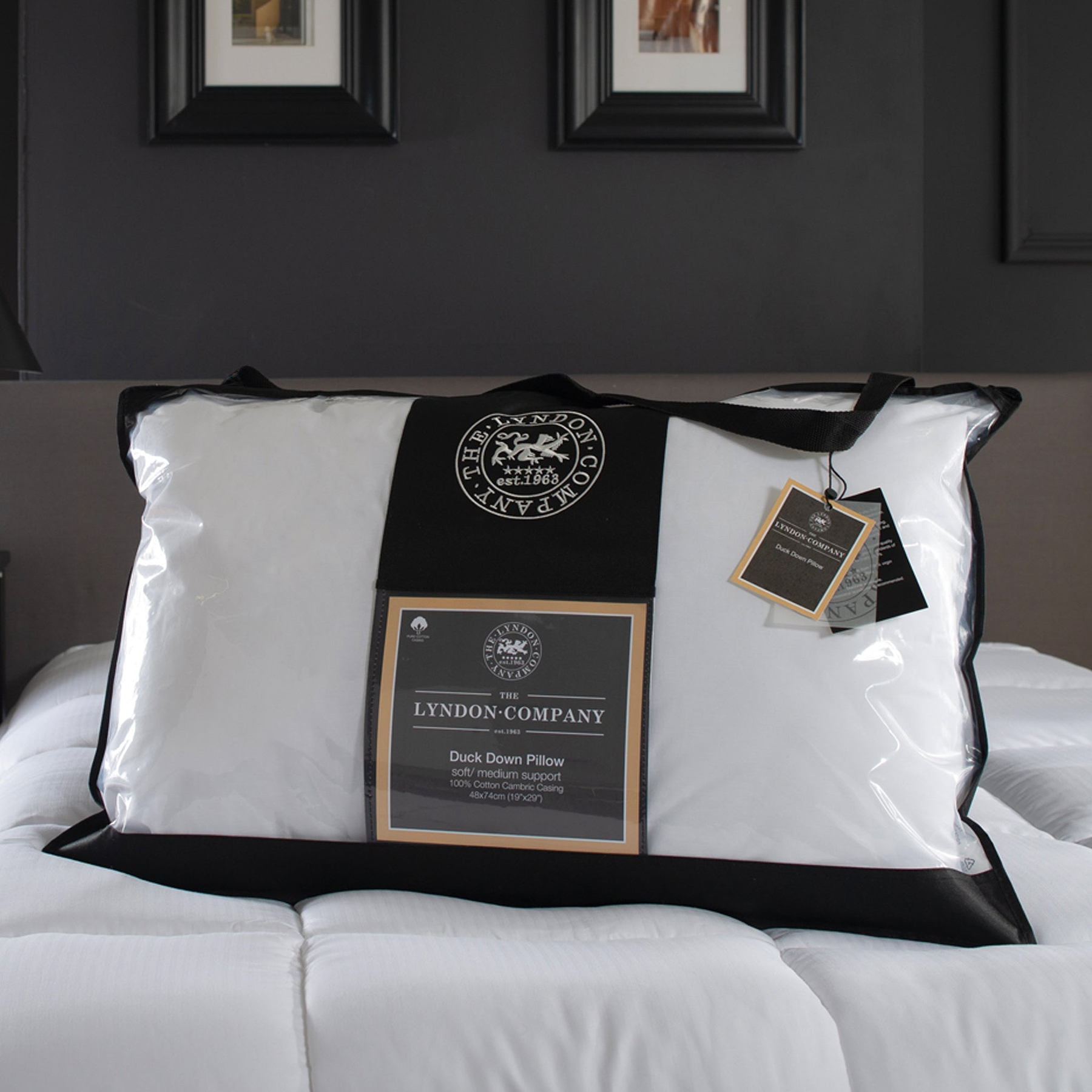 Duck Down Pillow from Roseland Furniture