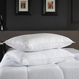 Hotel Premium Pillow Pair from Roseland Furniture