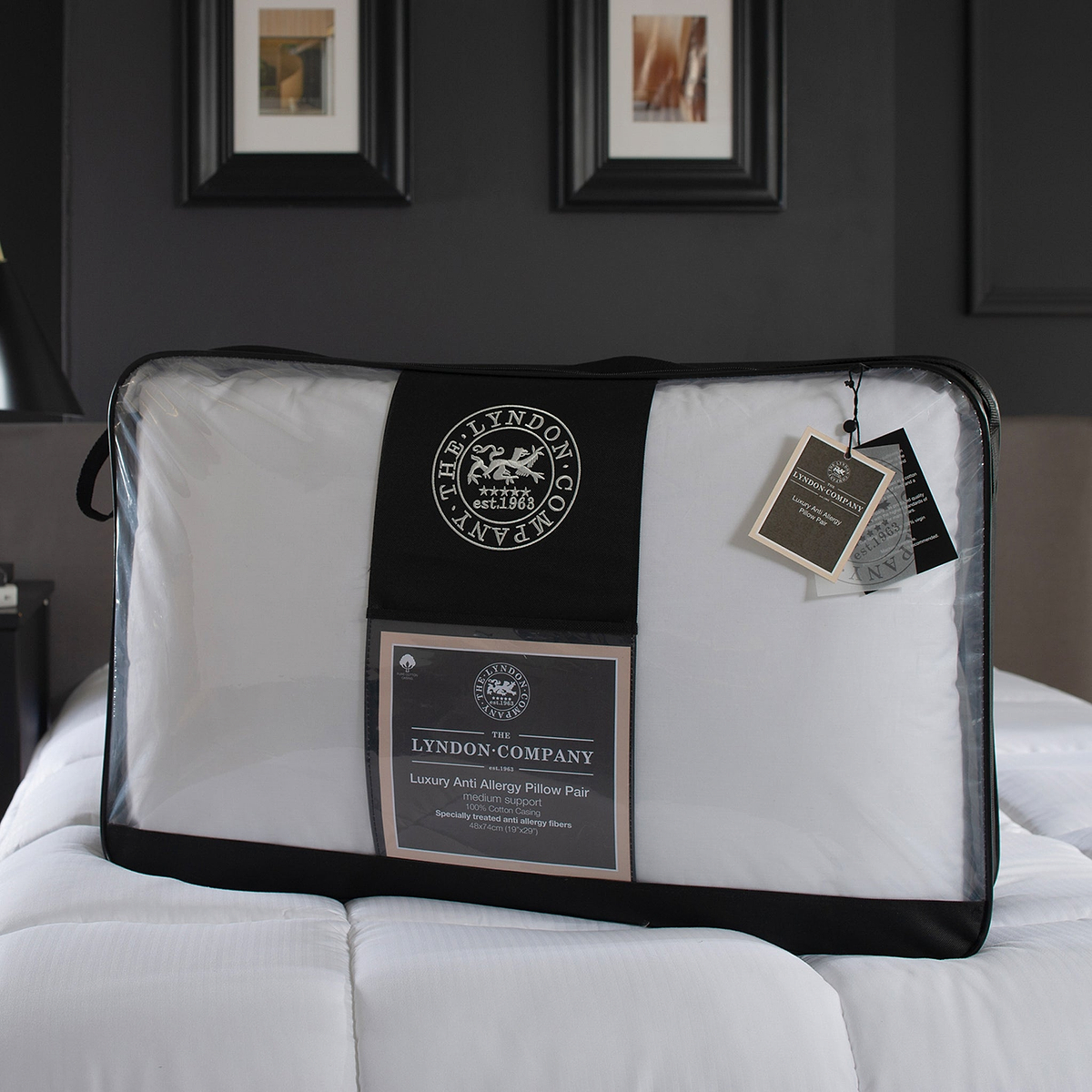 Anti Allergy Pillow Pair from Roseland Furniture