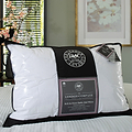 Soft as Down Baffle Wall Pillow from Roseland Furniture