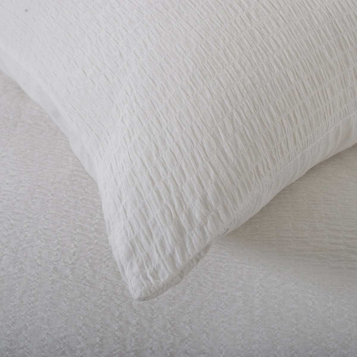 TLC Tilly Texture Single Duvet Set White from Roseland Furniture