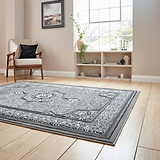 Holden Silver Rug from Roseland Furniture