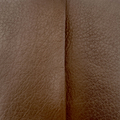 Max Sample Swatches