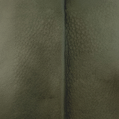Moss Green