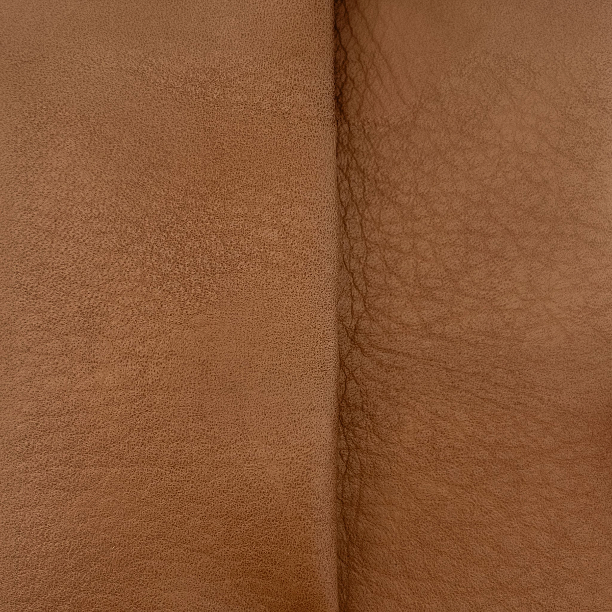 Max Sample Swatches