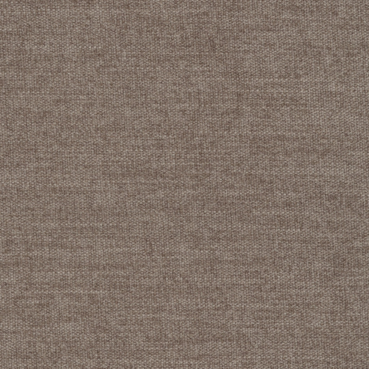 Mink Beige Fabric Swatch