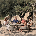 Olma 6 Seater Dining Table Chairs from Roseland Furniture