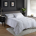 Anti Allergy 10.5 Tog Duvet