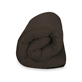 Maggie Single Futon Chocolate from Roseland Furniture