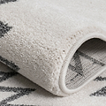 Rug for Living Room from Roseland Furniture
