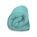 Maggie Single Futon Teal from Roseland Furniture