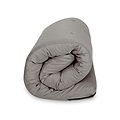 Maggie Single Futon Silver from Roseland Furniture
