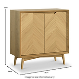 Flintham Oak 2 Door Small Cupboard Dims from Roseland Furniture