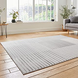 A gray striped rug lies on a wooden floor, with a sofa and a side table in a sunlit room with large windows displaying greenery outside.