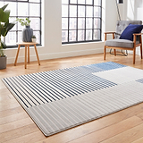 A patterned rug rests on a wooden floor in a bright room with large windows, modern furniture, and cityscape views.