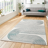 Aldrin Grey Green Swirl Patterned Rug for living room