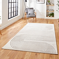 Aldrin Grey Ivory Swirl Patterned Rug for living room