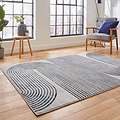 Aldrin Grey Navy Swirl Patterned Rug for bedroom