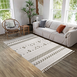 Norcross Flat and Loop Design Tassled Rug from Roseland Furniture