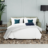 Justin Sage  Sofa bed from Roseland Furniture