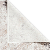 Bella Beige Distressed Rug