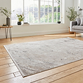 Bella Beige Distressed Rug for bedroom