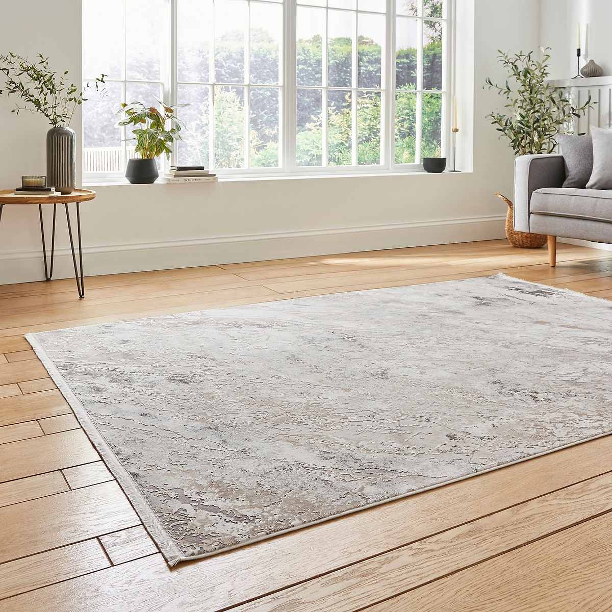 Bella Beige Distressed Rug for bedroom