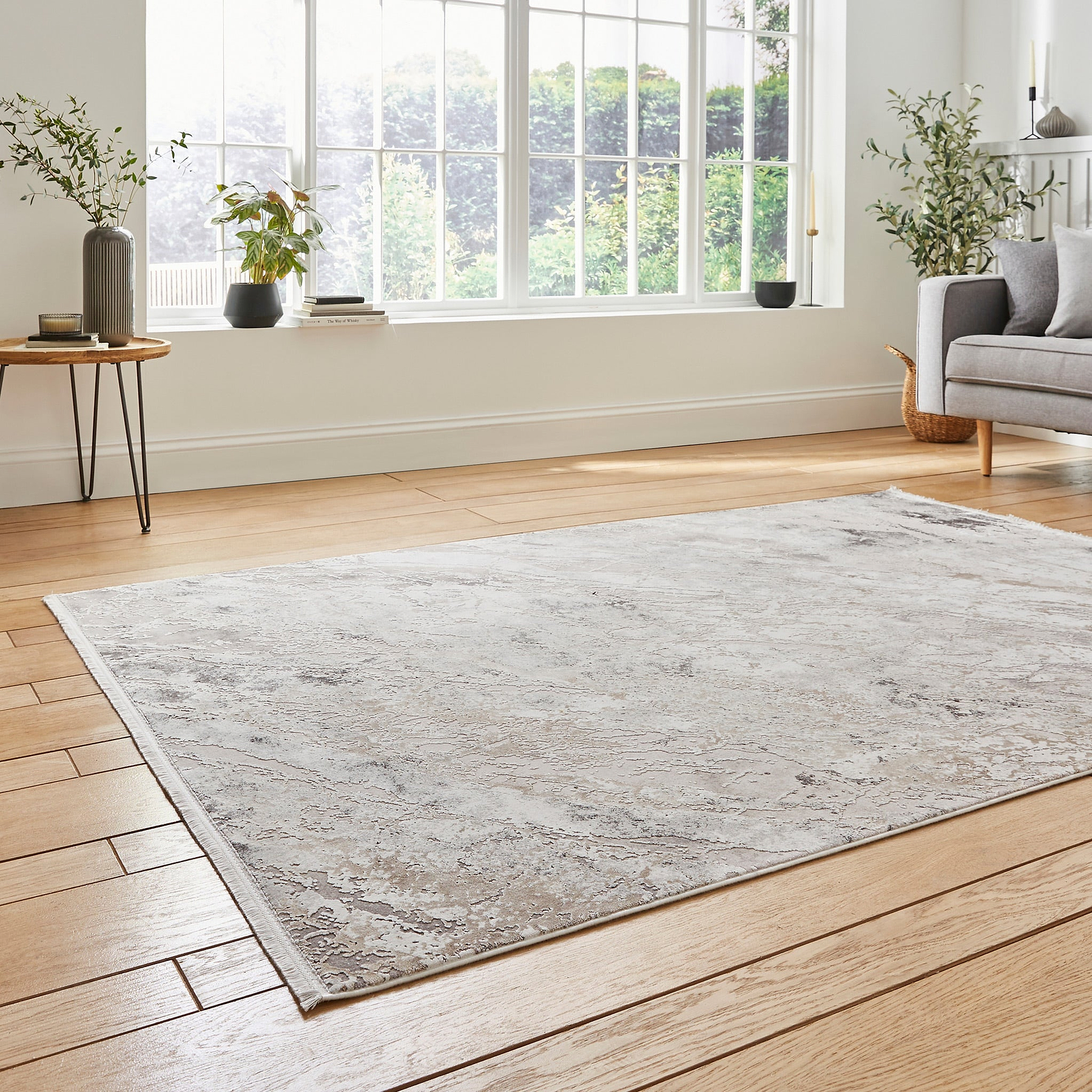 Bella Beige Distressed Rug for bedroom