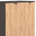 Huxley 2 Door Cabinet Oak Graphite from Roseland Furniture