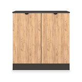 Huxley 2 Door Cabinet Oak Graphite from Roseland Furniture