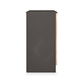 Huxley 2 Door Cabinet Oak Graphite from Roseland Furniture