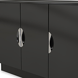 A sleek black cabinet with two shiny, oval handles against a light, blurred background.