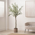 Large Olive Tree Close1 from Roseland Furniture