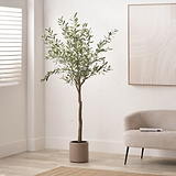 Large Olive Tree Close1 from Roseland Furniture