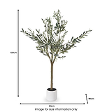 Medium Olive Tree from Roseland Furniture