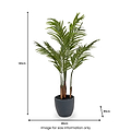 Areca Palm Plant in Pot from Roseland Furniture
