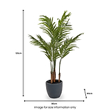 Areca Palm Plant in Pot from Roseland Furniture