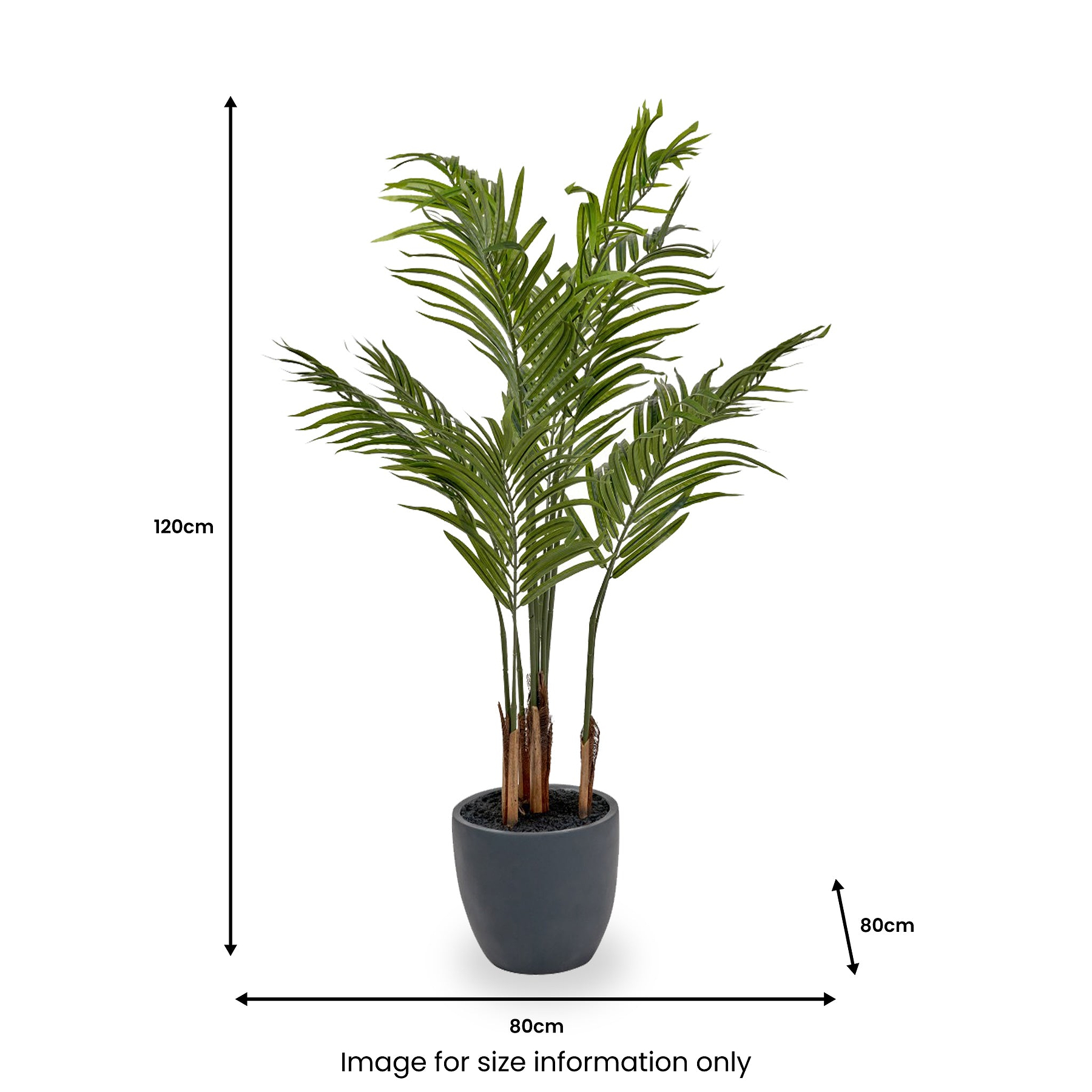 Areca Palm Plant in Pot from Roseland Furniture