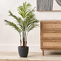Areca Palm Plant in Pot from Roseland Furniture